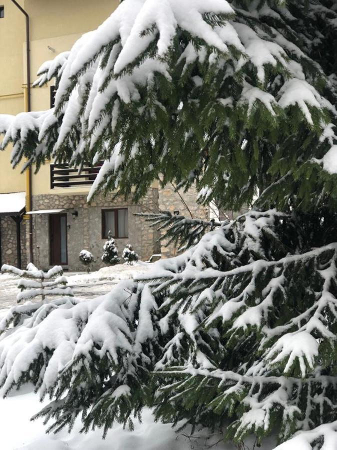 Apartament Nicolle Apartment Poiana Brasov Bagian luar foto